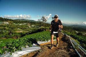 BIB: 
                            <button type="button" onclick="openModal(19123235)" class="btn btn-primary btn-sm float-right btn-popup" data-toggle="modal" data-target=".modal-high-quality">
                        <i class="fas fa-shopping-cart"></i> Add to Cart
                    </button>
                                            <button type="button" onclick="isThisMe(19123235, true)" class="btn btn-success btn-sm float-right btn-popup btn-isme hidden" data-toggle="tooltip" data-placement="bottom" title="นี่คือรูปของคุณใช่ไหม คลิกที่นี่เพื่อเอาเข้าอัลบั้ม">
                        <i class="fas fa-plus"></i> Add to album
                    </button>
                    <button type="button" onclick="isThisMe(19123235, false)" class="btn btn-warning btn-sm float-right btn-popup btn-isnotme hidden">
                        <i class="fas fa-ban"></i> Remove from album
                    </button>